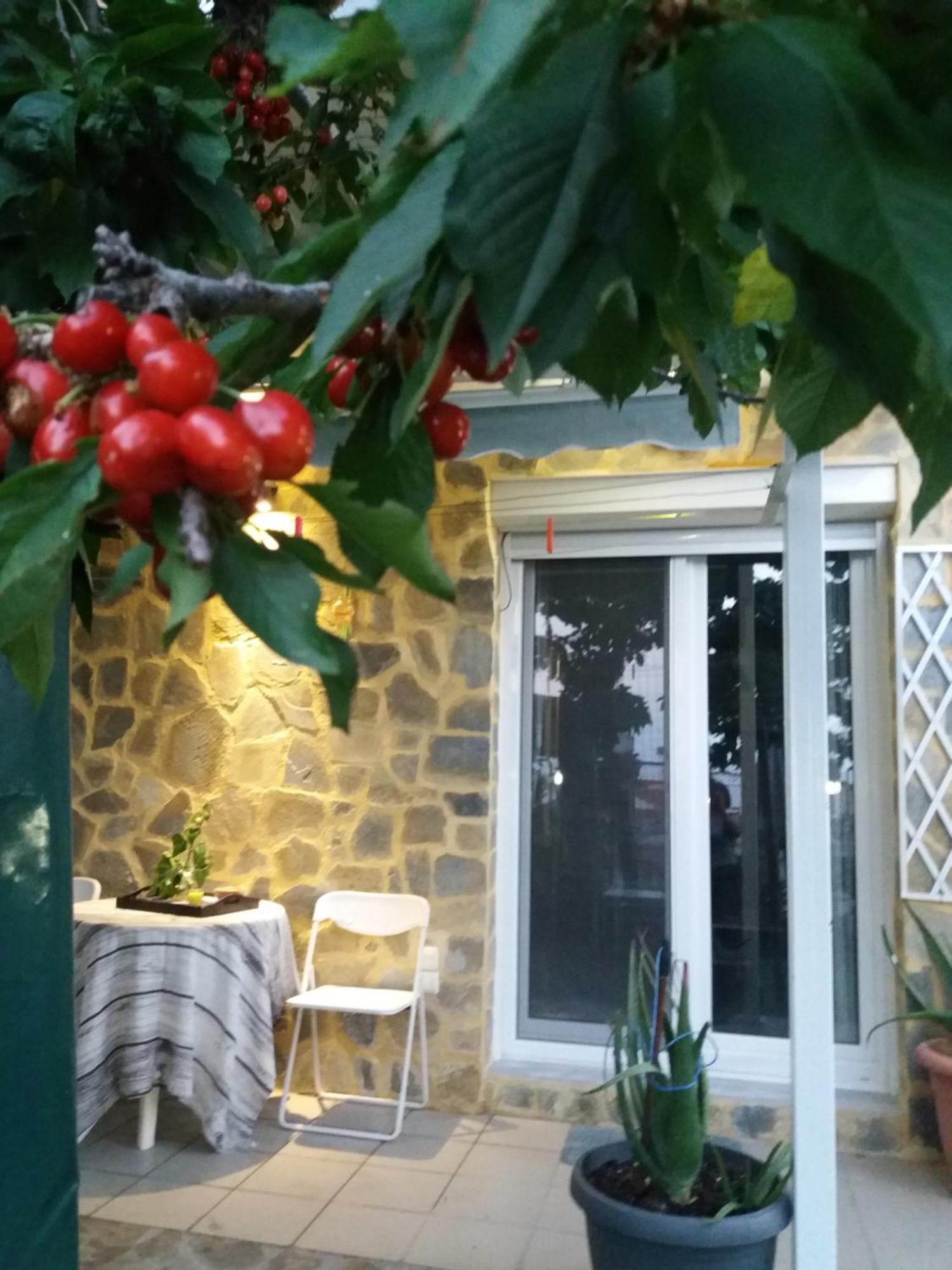Апартаменти Garden'S House Кавала Екстер'єр фото